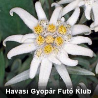 Havasi Gyopr Fut Klub